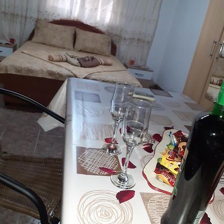 Studio-Apartman Milena 2 Podgorica Exteriör bild